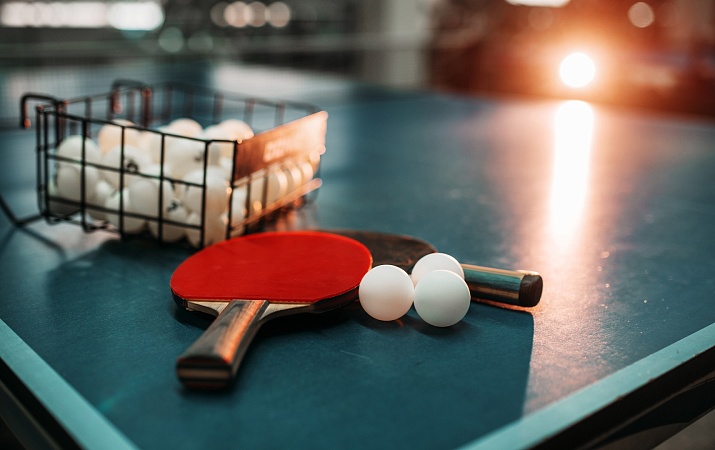 НАСТОЛЬНЫЙ ТЕННИС